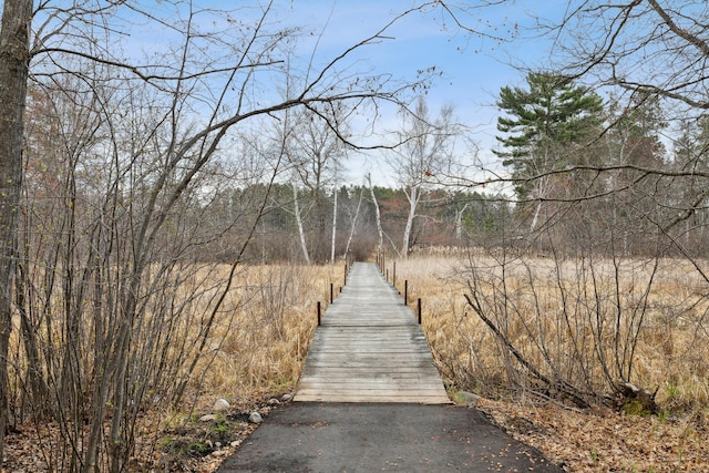 15193 Wilderness Trl, Crosslake, MN 56442 - view of property's community with a wooded view