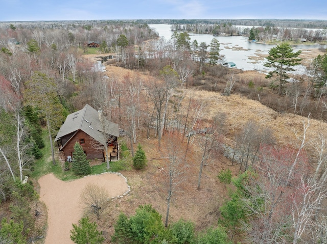 15193 Wilderness Trl, Crosslake, MN 56442 - aerial view of property and surrounding area with a nearby body of water
