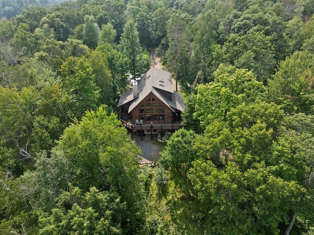 15193 Wilderness Trl, Crosslake, MN 56442 - aerial view of property and surrounding area featuring a forest