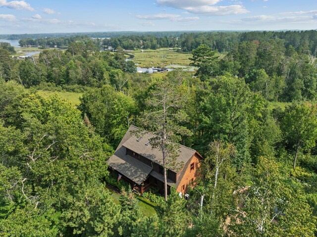 15193 Wilderness Trl, Crosslake, MN 56442 - aerial view of property and surrounding area featuring a forest