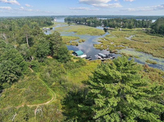 15193 Wilderness Trl, Crosslake, MN 56442 - aerial view of property's location with a large body of water and a forest