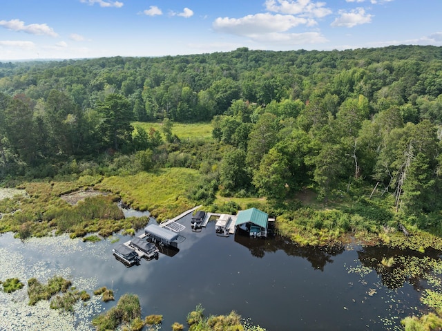 15193 Wilderness Trl, Crosslake, MN 56442 - aerial overview of property's location featuring a heavily wooded area and a large body of water
