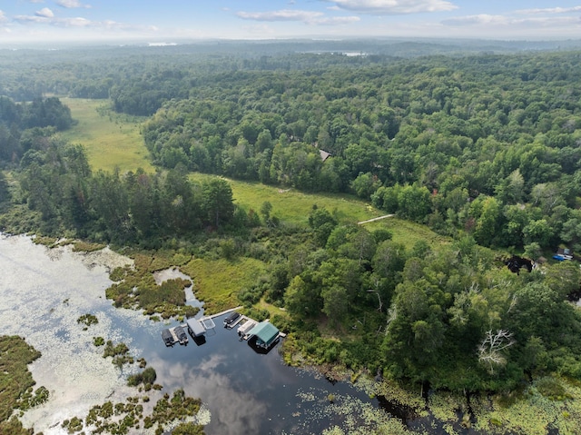 15193 Wilderness Trl, Crosslake, MN 56442 - aerial overview of property's location with a nearby body of water and a forest