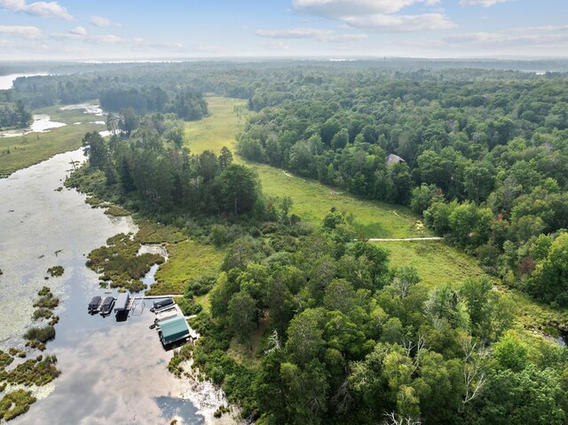15193 Wilderness Trl, Crosslake, MN 56442 - drone / aerial view of a nearby body of water and a heavily wooded area