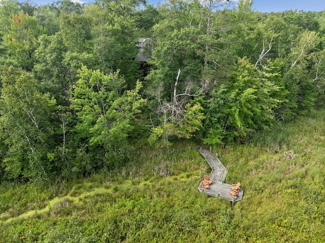 15193 Wilderness Trl, Crosslake, MN 56442 - view of tree filled area