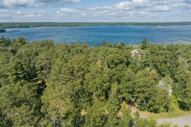 LOT2 Norway Pine Rd, East Gull Lake, MN 56401