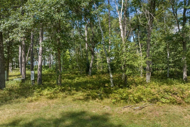 LOT2 Norway Pine Rd, East Gull Lake, MN 56401