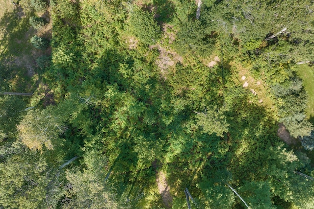 LOT2 Norway Pine Rd, East Gull Lake, MN 56401