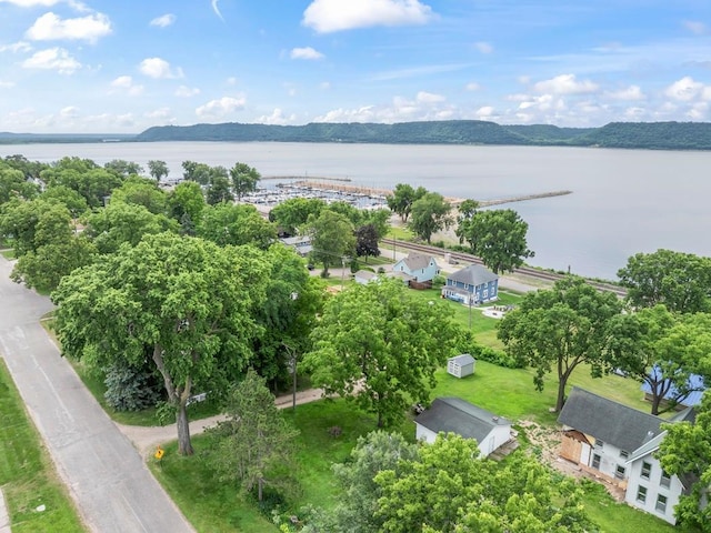 202 Cedar St, Pepin, WI 54759 - bird's eye view of a nearby body of water