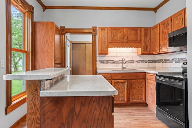 202 Cedar St, Pepin, WI 54759 - kitchen with black range with electric stovetop, ornamental molding, healthy amount of natural light, light wood-style flooring, and decorative backsplash