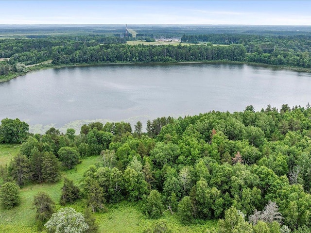 15573 State 64, Akeley, MN 56433 - photo 1