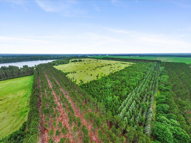 15573 State 64, Akeley, MN 56433 - photo 2