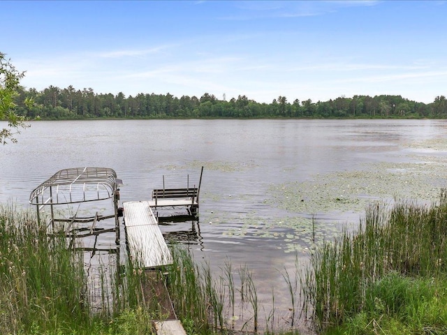 15573 State 64, Akeley, MN 56433 - photo 31