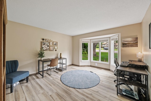 9950 204th Street Ct N, Forest Lake, MN 55025 - office area with light wood-style floors and a textured ceiling
