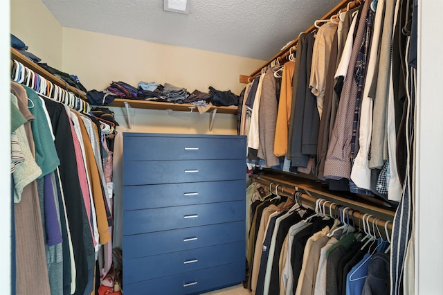 9950 204th Street Ct N, Forest Lake, MN 55025 - view of spacious closet