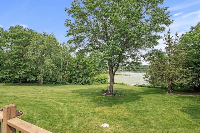 9950 204th Street Ct N, Forest Lake, MN 55025 - view of grassy yard