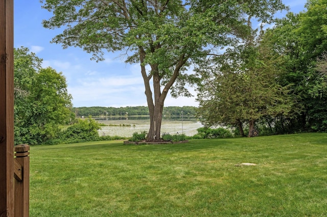 9950 204th Street Ct N, Forest Lake, MN 55025 - view of grassy yard with a water view