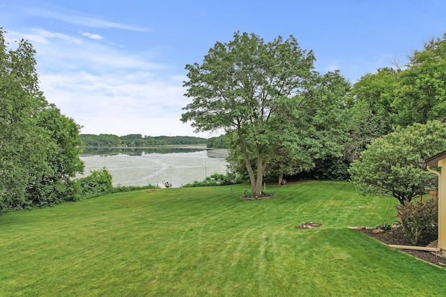9950 204th Street Ct N, Forest Lake, MN 55025 - view of grassy yard with a water view