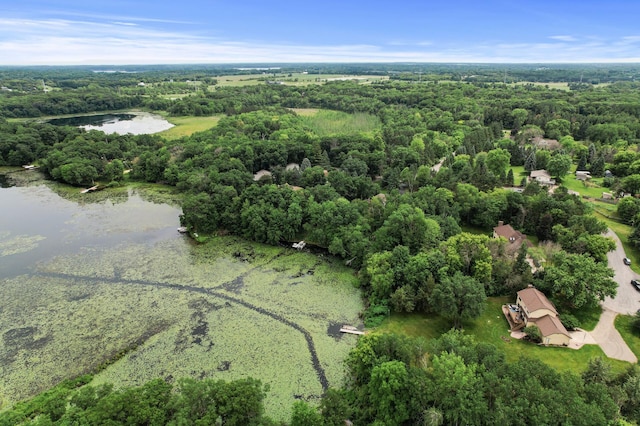 9950 204th Street Ct N, Forest Lake, MN 55025 - aerial view of a nearby body of water and a heavily wooded area