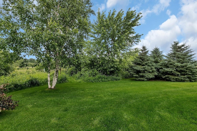 1664 Payton Ct NE, Sauk Rapids, MN 56379 - view of grassy yard