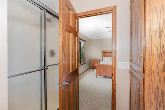 517 Redpoll Ave SE, New Prague, MN 56071 - bathroom featuring an enclosed shower and lofted ceiling