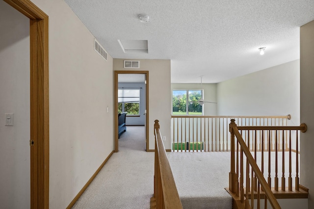 16612 90th Ave N, Maple Grove, MN 55311 - photo 15