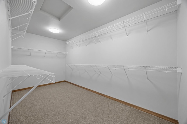 7647 Cub Creek Way, Horace, ND 58047 - photo 22