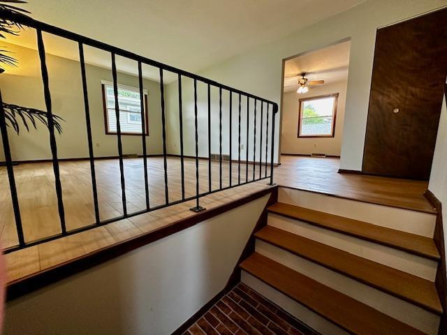 2671 4th Ave NE, Rochester, MN 55906 - staircase featuring ceiling fan and wood finished floors