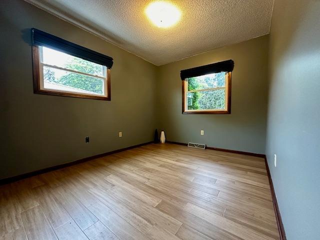 2671 4th Ave NE, Rochester, MN 55906 - empty room featuring plenty of natural light, light wood-type flooring, and a textured ceiling