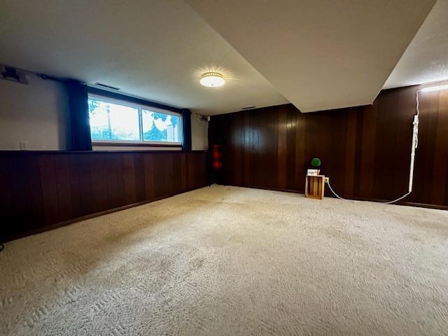 2671 4th Ave NE, Rochester, MN 55906 - unfurnished room with wood walls and carpet flooring