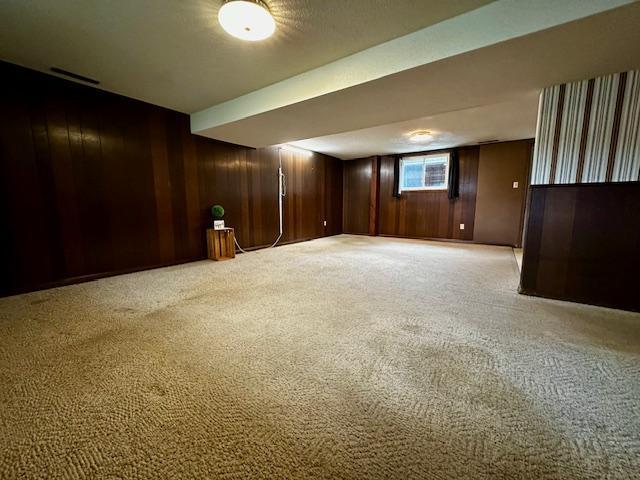 2671 4th Ave NE, Rochester, MN 55906 - below grade area with light colored carpet and wood walls