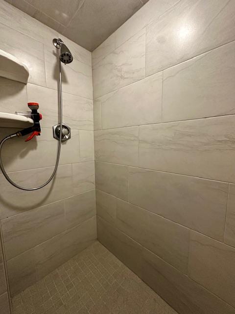 2671 4th Ave NE, Rochester, MN 55906 - bathroom featuring a tile shower