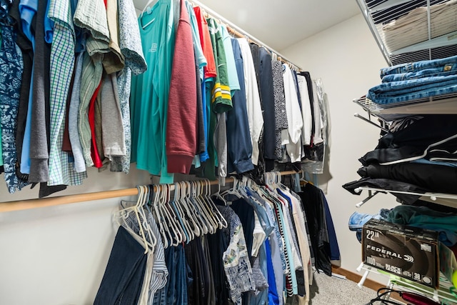 11100 Fisher Ln, Park Rapids, MN 56470 - view of walk in closet