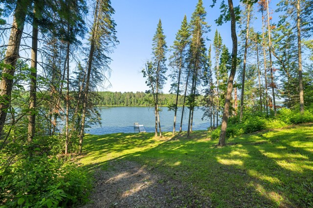 11100 Fisher Ln, Park Rapids, MN 56470 - water view with a forest
