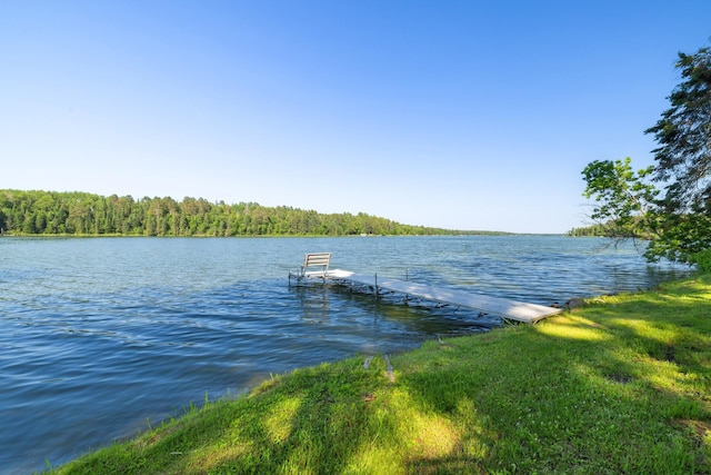 11100 Fisher Ln, Park Rapids, MN 56470 - dock featuring a water view and a wooded view