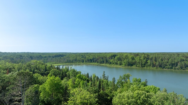 11100 Fisher Ln, Park Rapids, MN 56470 - water view featuring a forest