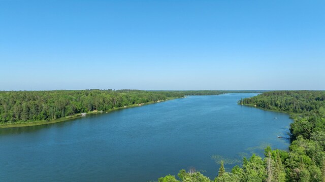 11100 Fisher Ln, Park Rapids, MN 56470 - water view featuring a heavily wooded area