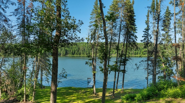 11100 Fisher Ln, Park Rapids, MN 56470 - water view with a forest