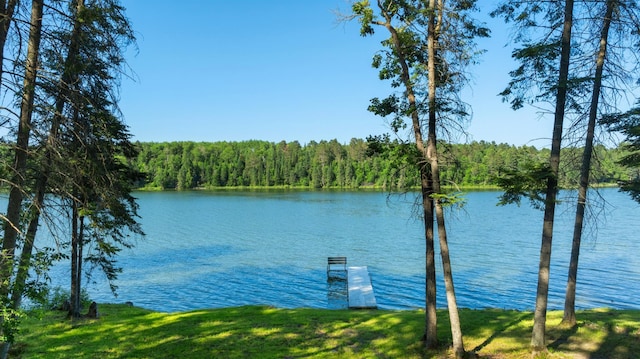 11100 Fisher Ln, Park Rapids, MN 56470 - water view with a forest and a boat dock