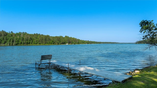 11100 Fisher Ln, Park Rapids, MN 56470 - dock area with a water view and a view of trees