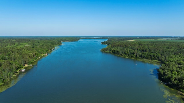 11100 Fisher Ln, Park Rapids, MN 56470 - bird's eye view of a heavily wooded area and a large body of water