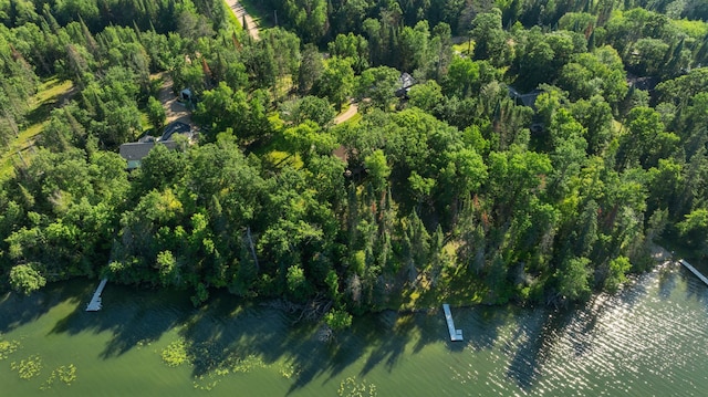 11100 Fisher Ln, Park Rapids, MN 56470 - view of property location
