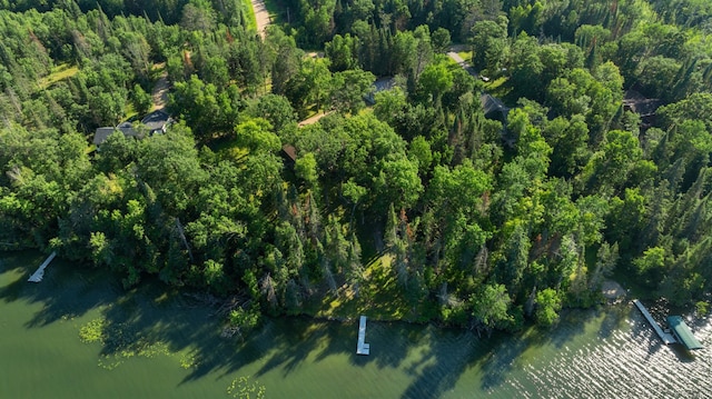 11100 Fisher Ln, Park Rapids, MN 56470 - view of property location featuring a heavily wooded area