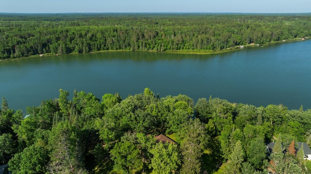 11100 Fisher Ln, Park Rapids, MN 56470 - aerial view of a forest and a nearby body of water