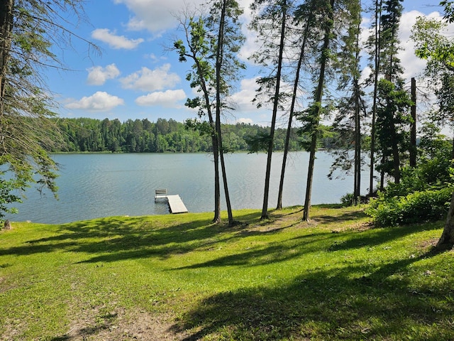 11100 Fisher Ln, Park Rapids, MN 56470 - water view with a floating dock and a heavily wooded area