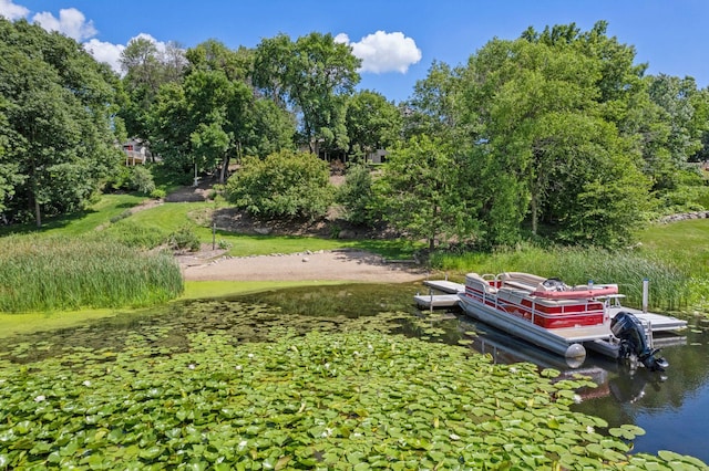 1017 Vista Ridge Ln, Shakopee, MN 55379 - photo 58