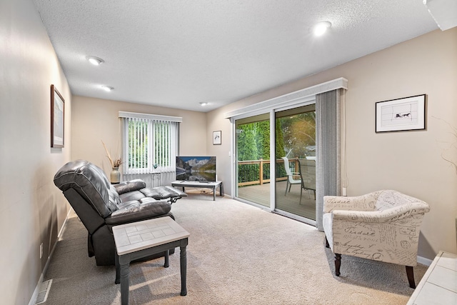 6721 Limerick Ln, Edina, MN 55439 - carpeted living room with baseboards and a textured ceiling