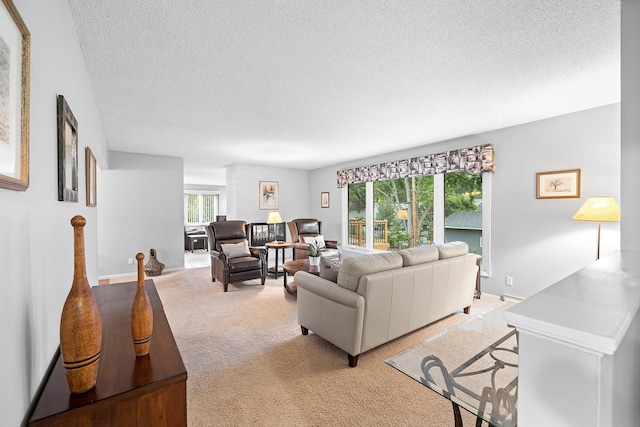 6721 Limerick Ln, Edina, MN 55439 - living area featuring a textured ceiling, light colored carpet, and healthy amount of natural light