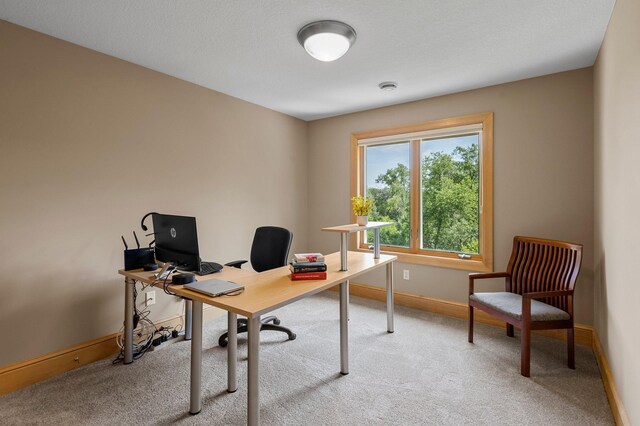 1411 Archwood Rd, Minnetonka, MN 55305 - photo 21