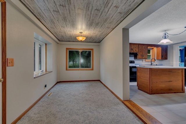 608 Summit Ave S, Sauk Rapids, MN 56379 - kitchen with brown cabinetry, electric range oven, light carpet, light countertops, and exhaust hood
